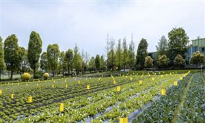 Pg电子游戏：2024年3C制造行业发展现状及未来发展方向分析(图7)