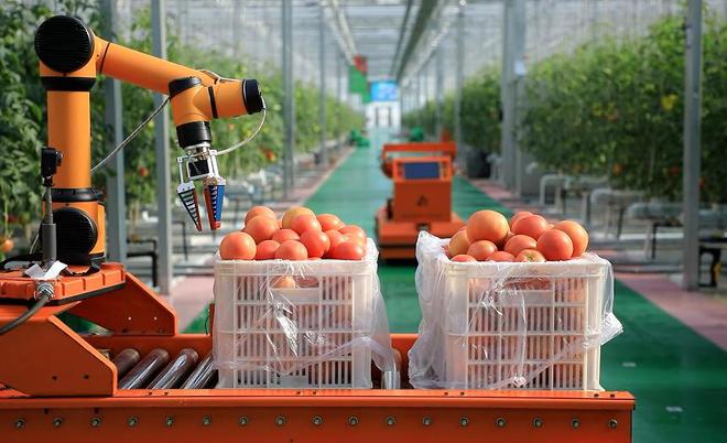 Pg电子游戏平台：谁敢信？今年两会最早出圈的竟然是这一群“山东硬汉”(图5)