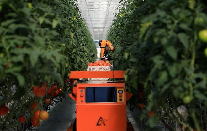 Pg电子游戏平台：谁敢信？今年两会最早出圈的竟然是这一群“山东硬汉”(图6)