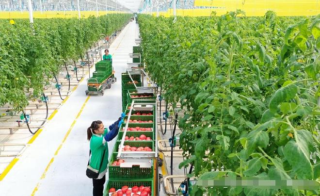 Pg电子游戏平台：谁敢信？今年两会最早出圈的竟然是这一群“山东硬汉”(图8)