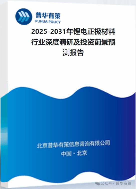 Pg电子平台：2025-2031年锂电正极材料行业深度调研及投资前景预测报告(图3)