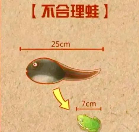 Pg电子平台：贵阳湿地公园、十里河滩惊现“不合理蛙”？专家辟谣(图1)
