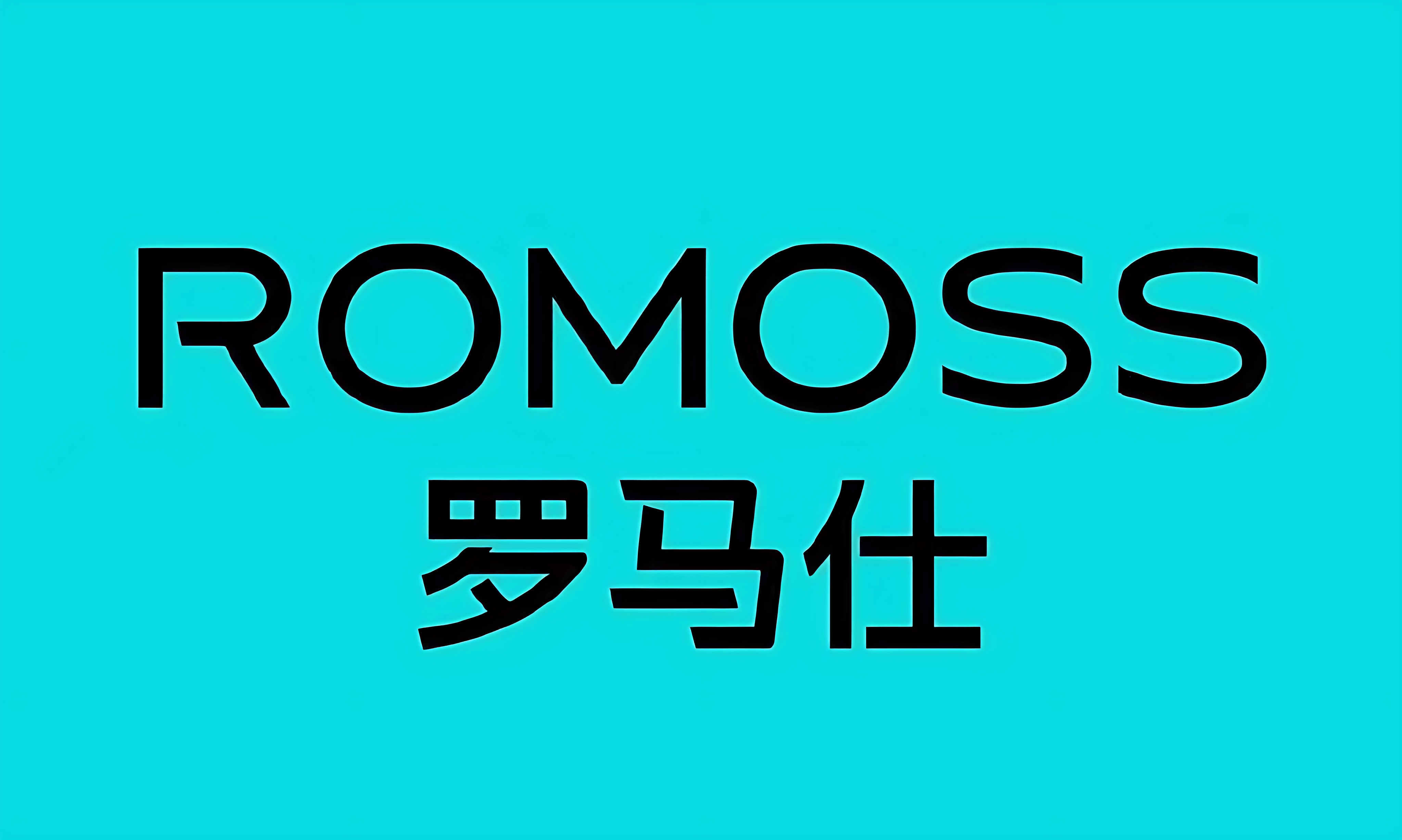 Pg电子平台：罗马仕彻底凉了？167万件充电宝召回2500万股权被冻结！(图4)